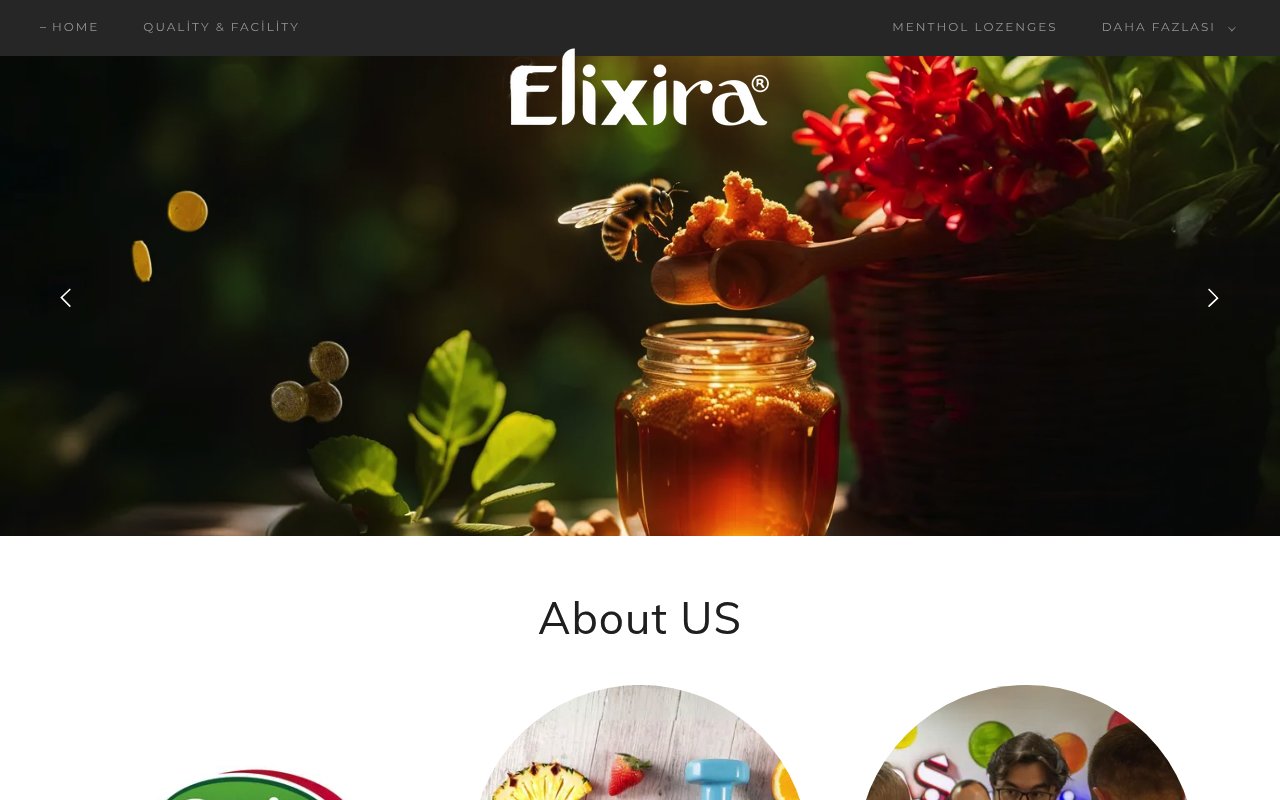 Elixira website preview