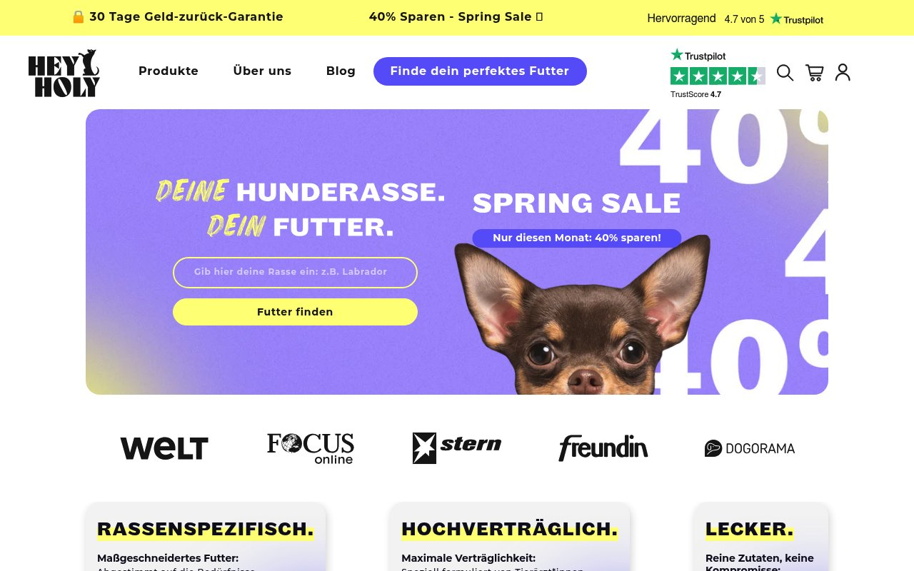 HEY HOLY website preview