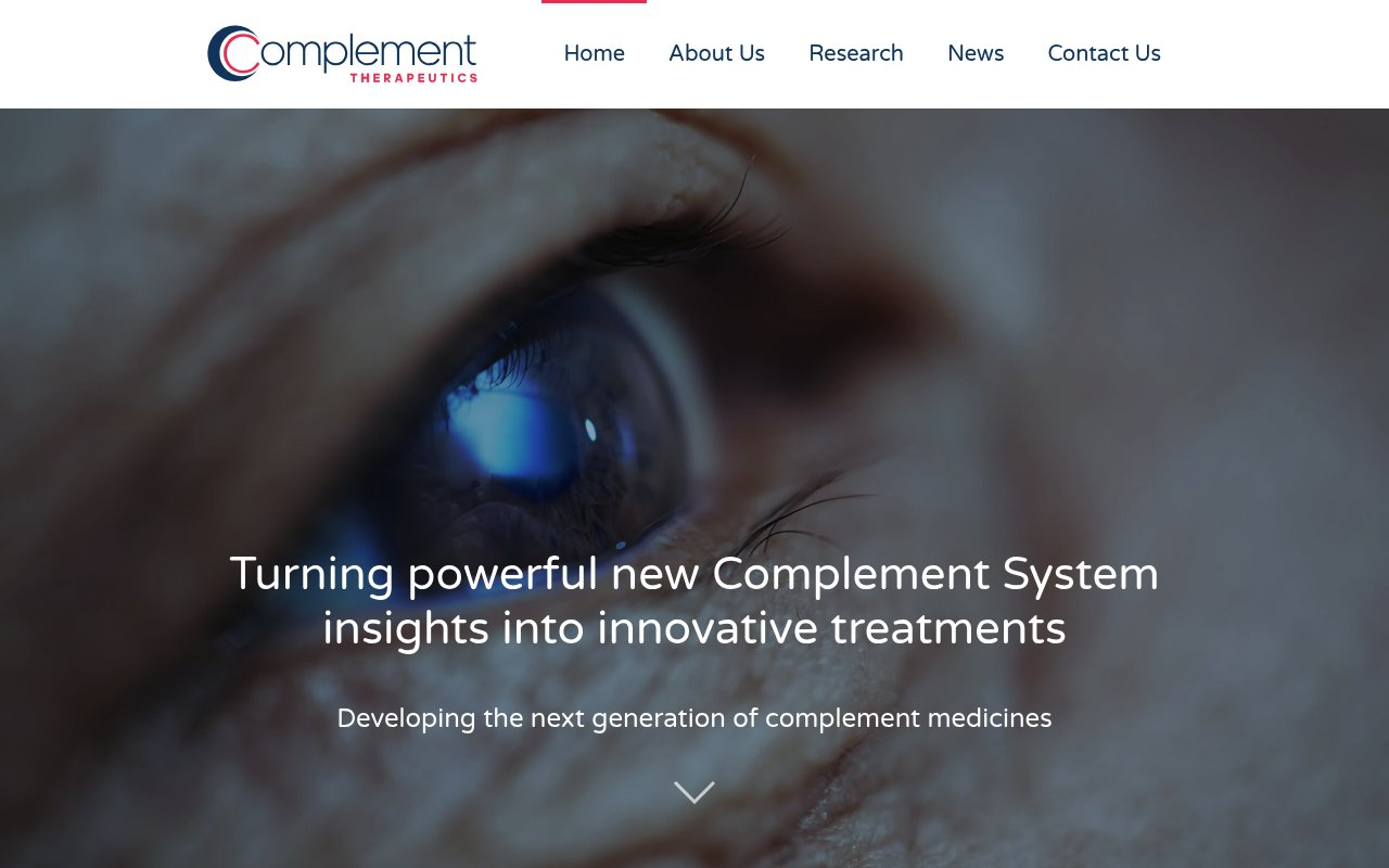 Complement website preview