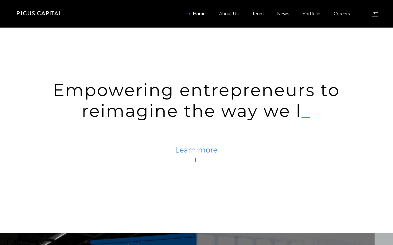 Picus Capital website preview