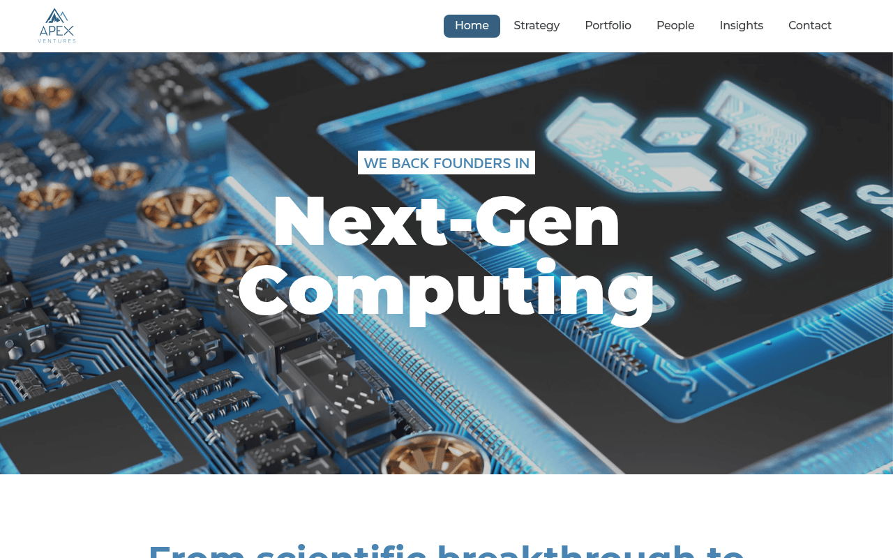 Apex Ventures website preview