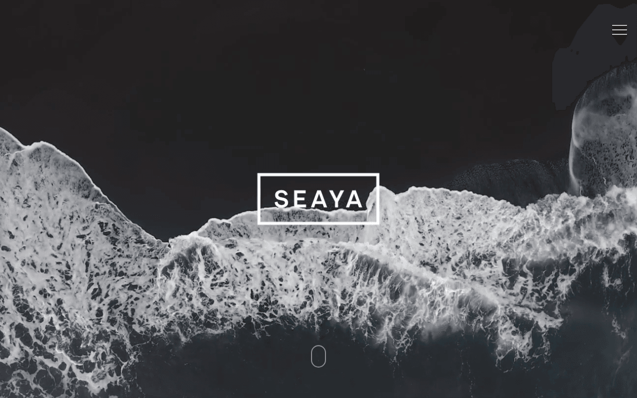 Seaya Ventures website preview