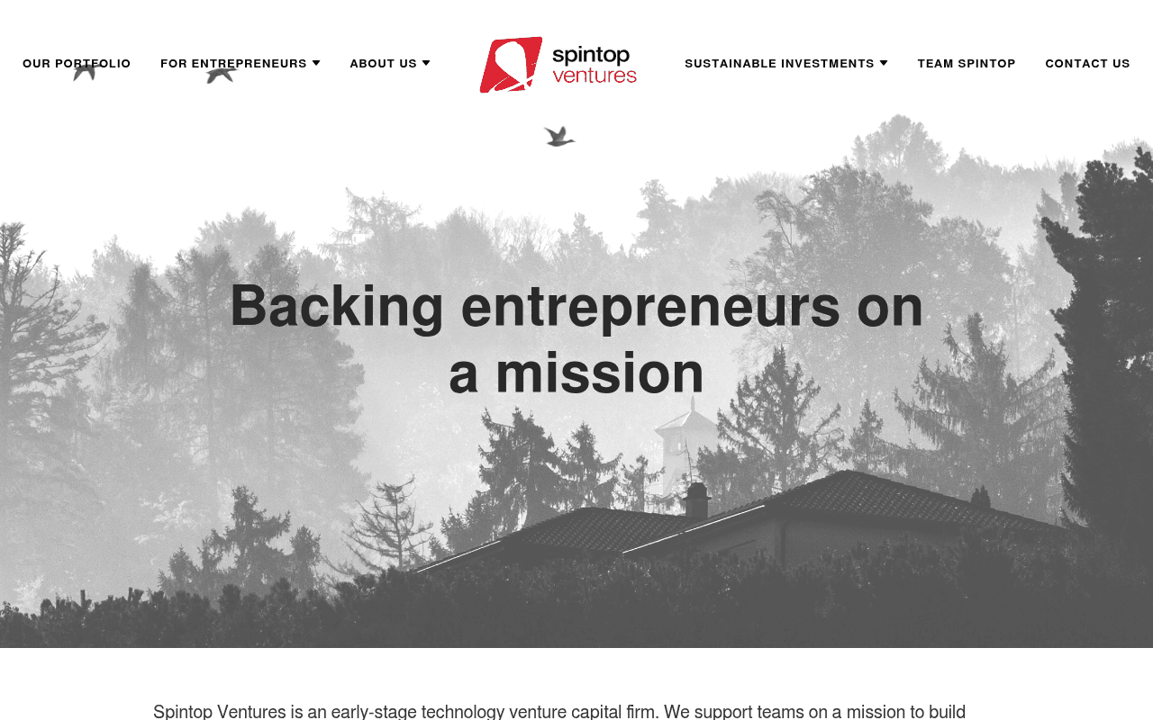 Spintop Ventures website preview
