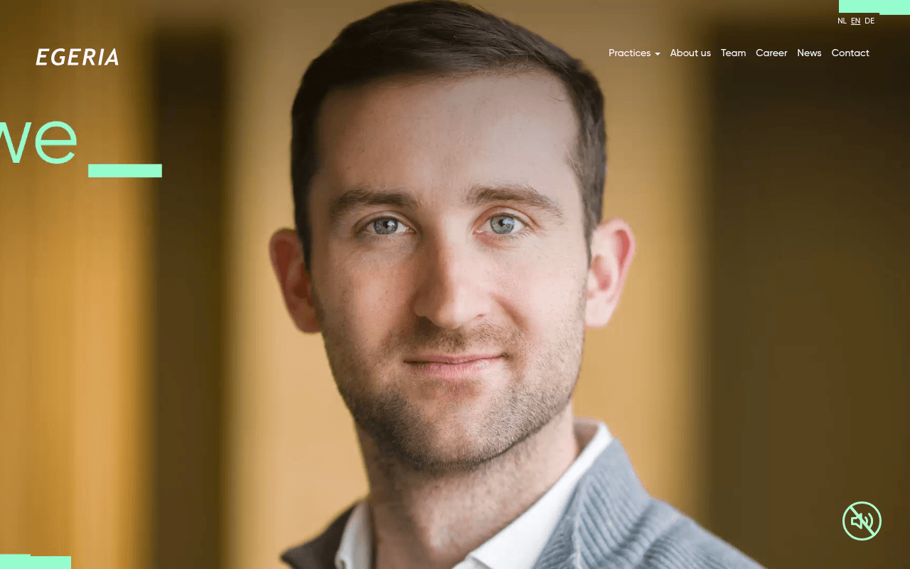 Egeria Group website preview