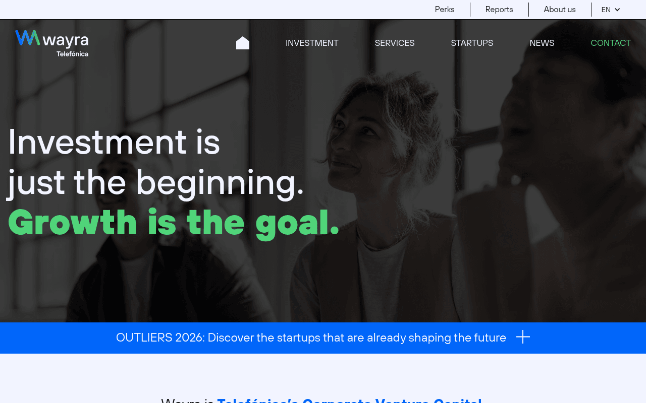 Wayra website preview