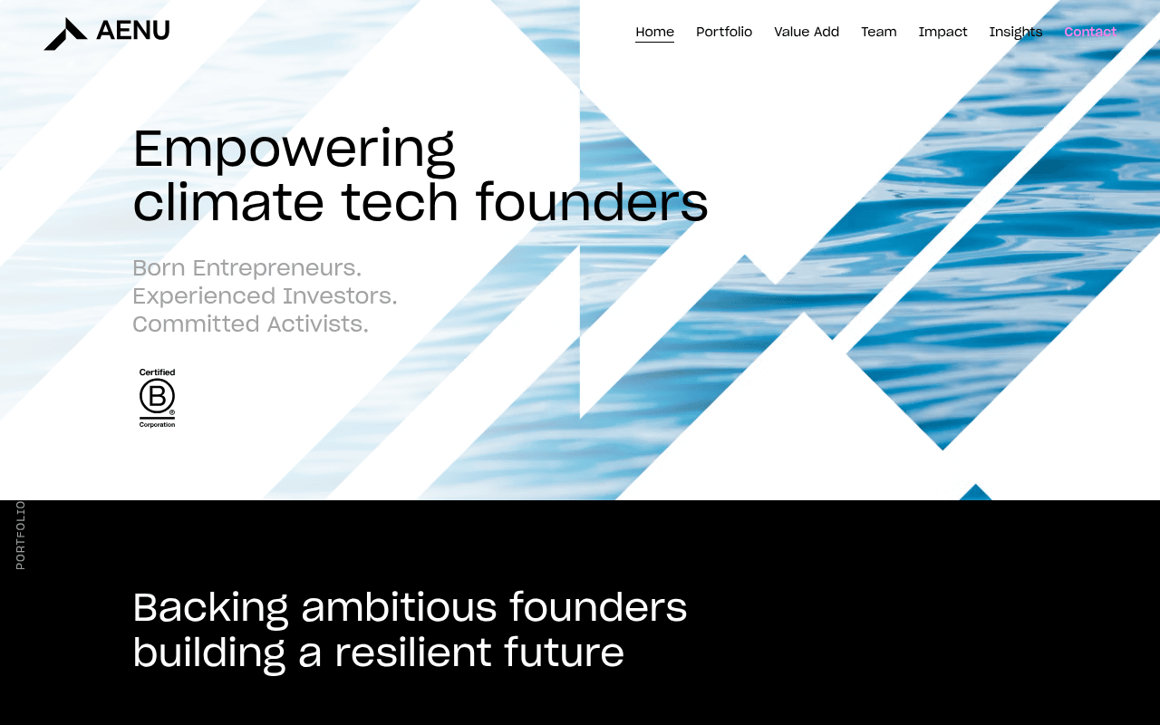 AENU website preview