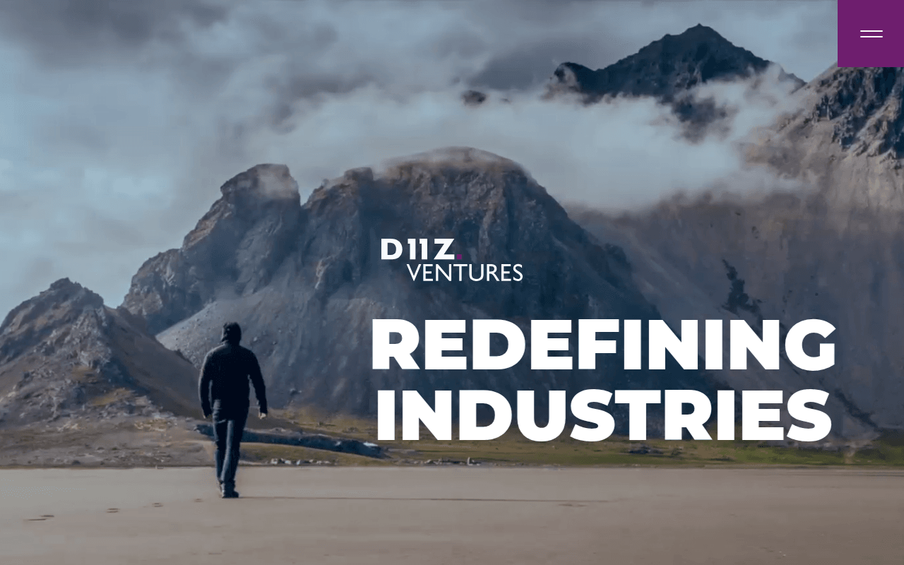 D11Z website preview