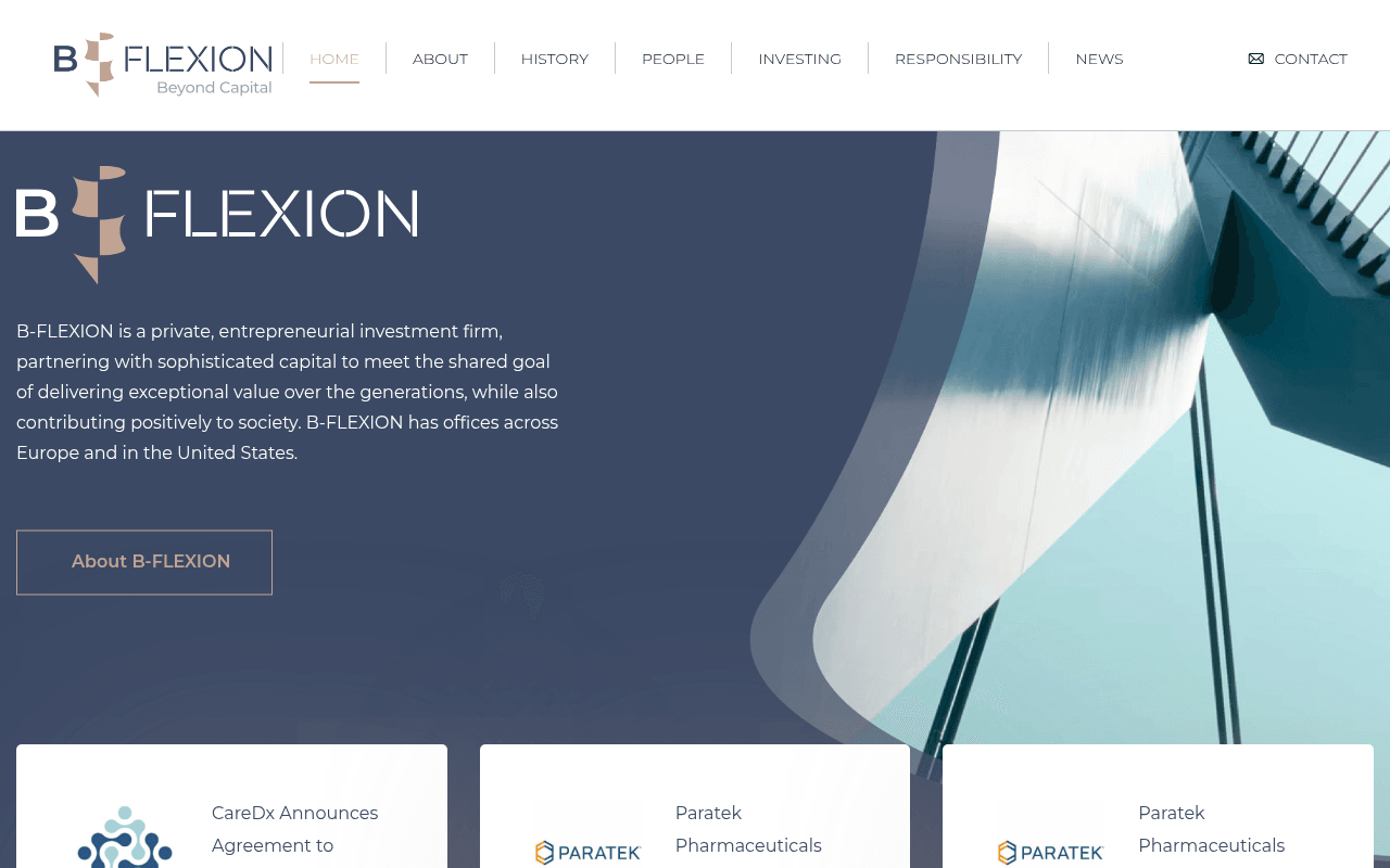 Bflexion website preview