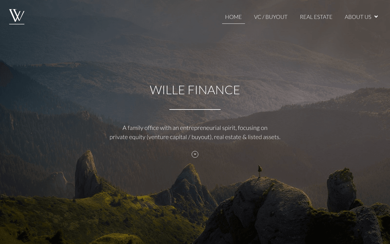 Wille Finance website preview