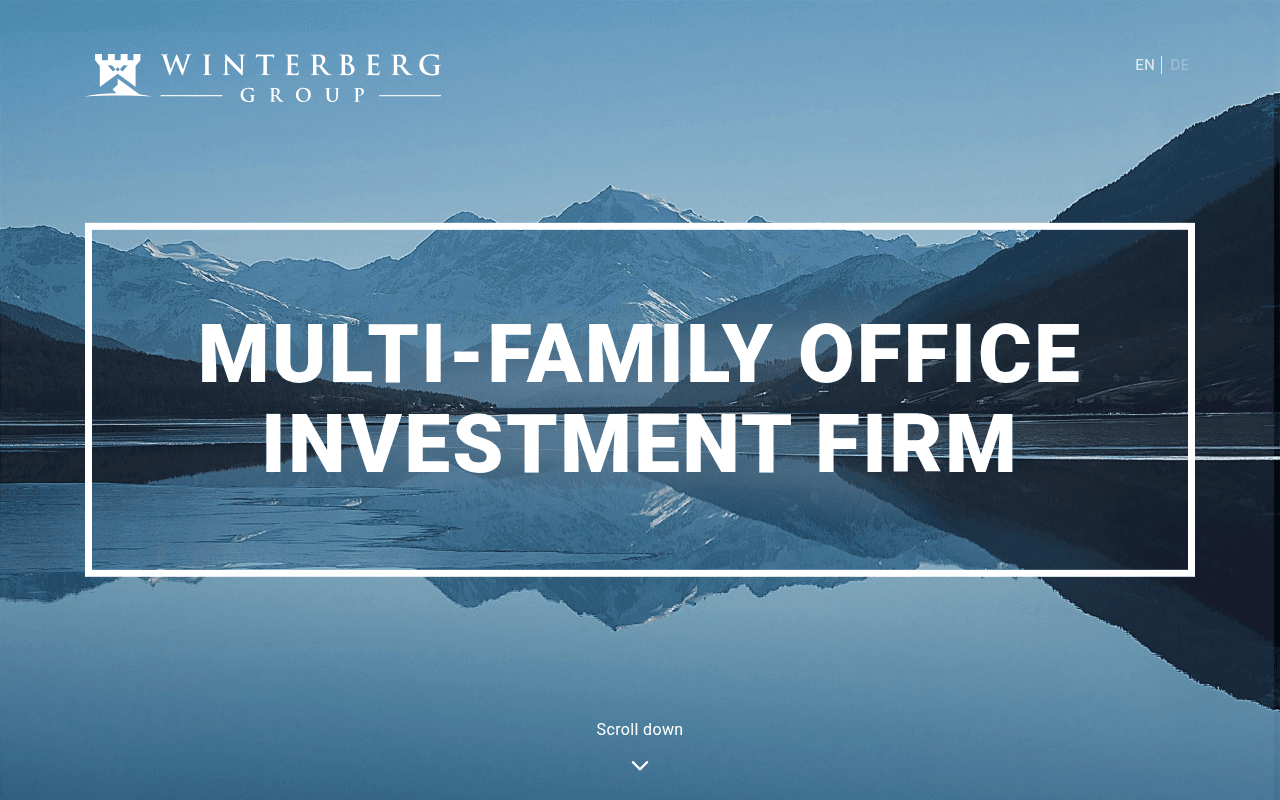 Winterberg Group website preview