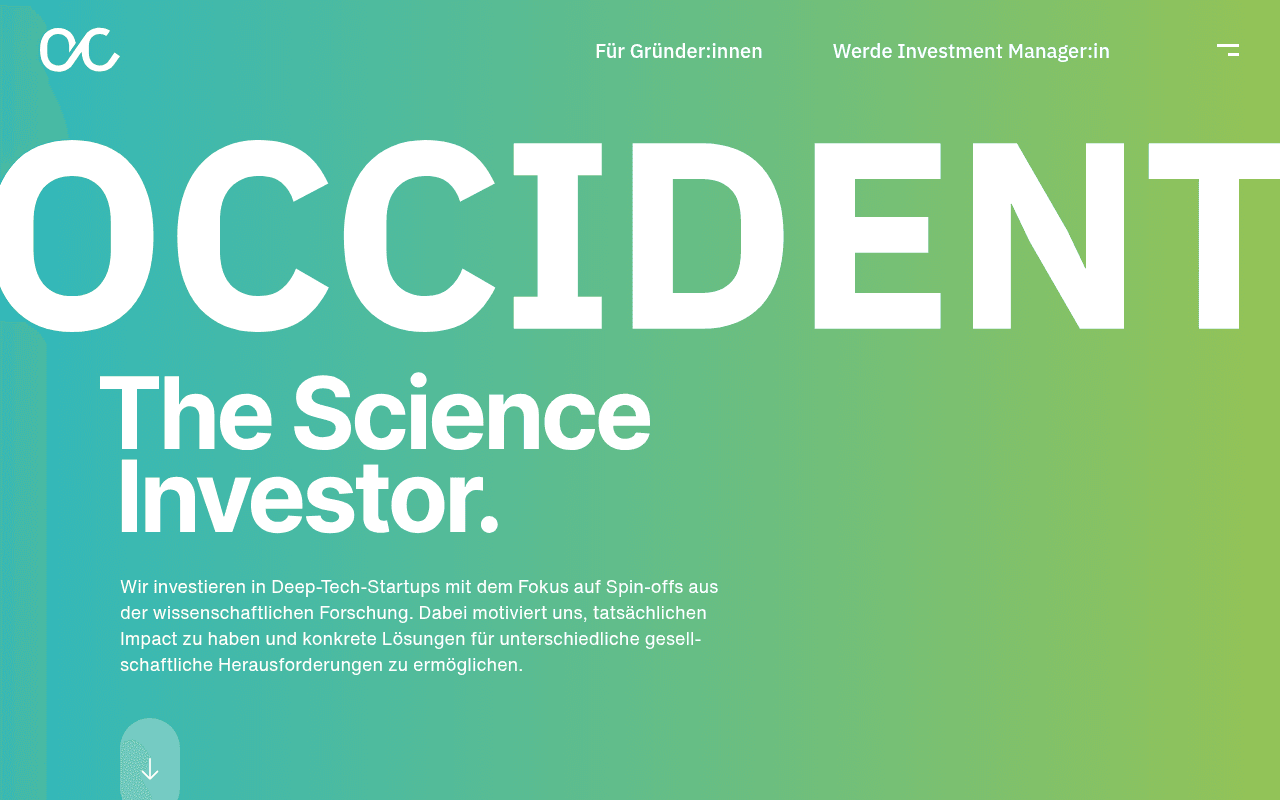 Occident Group website preview