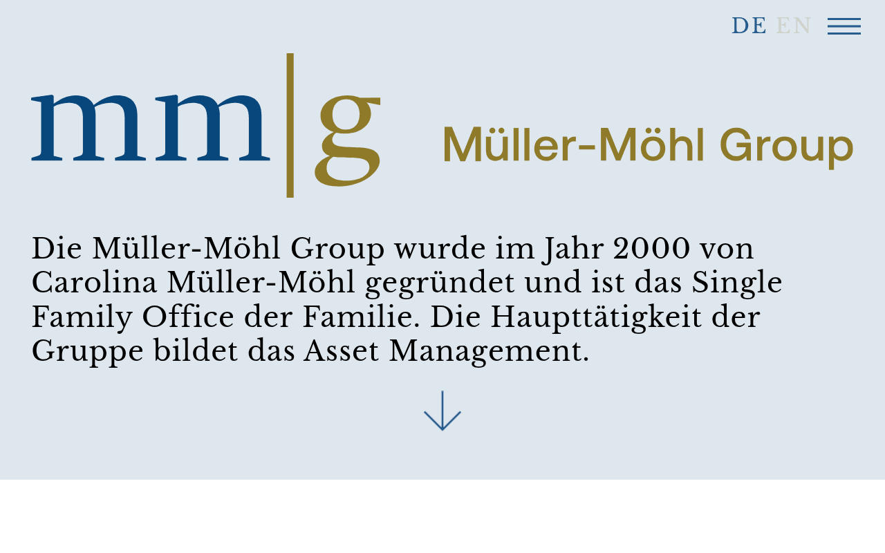 MM Group website preview