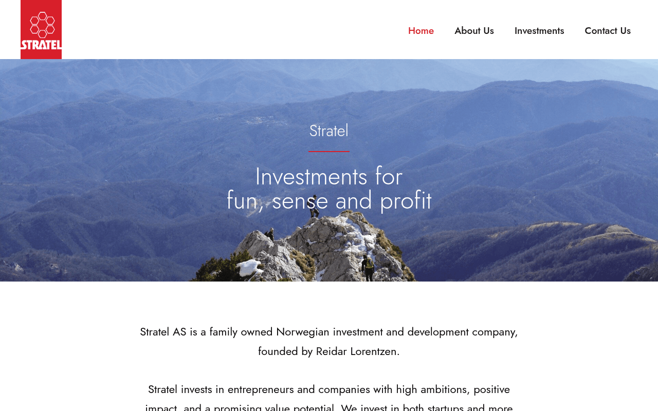 Stratel website preview