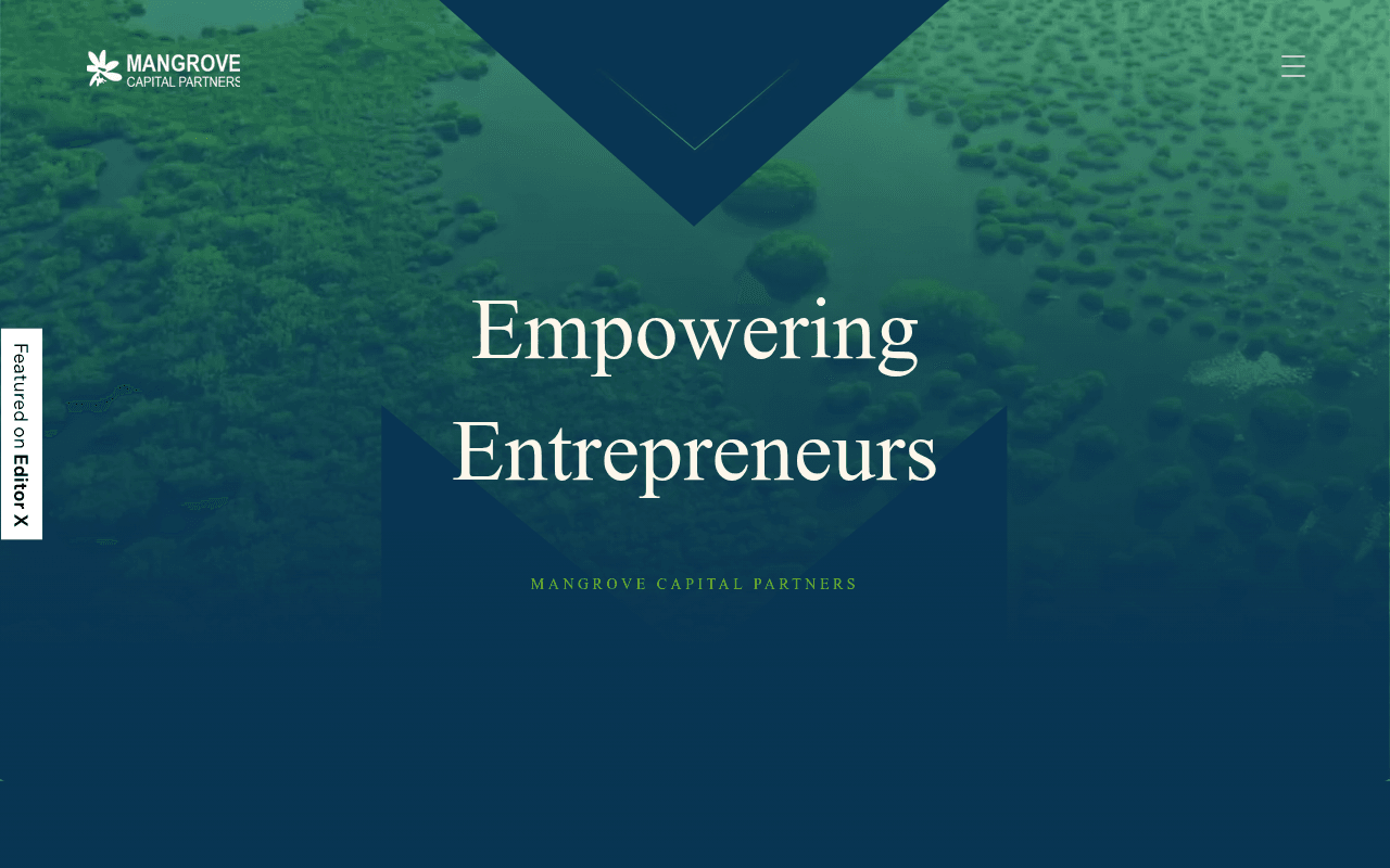 Mangrove Capital Partners website preview