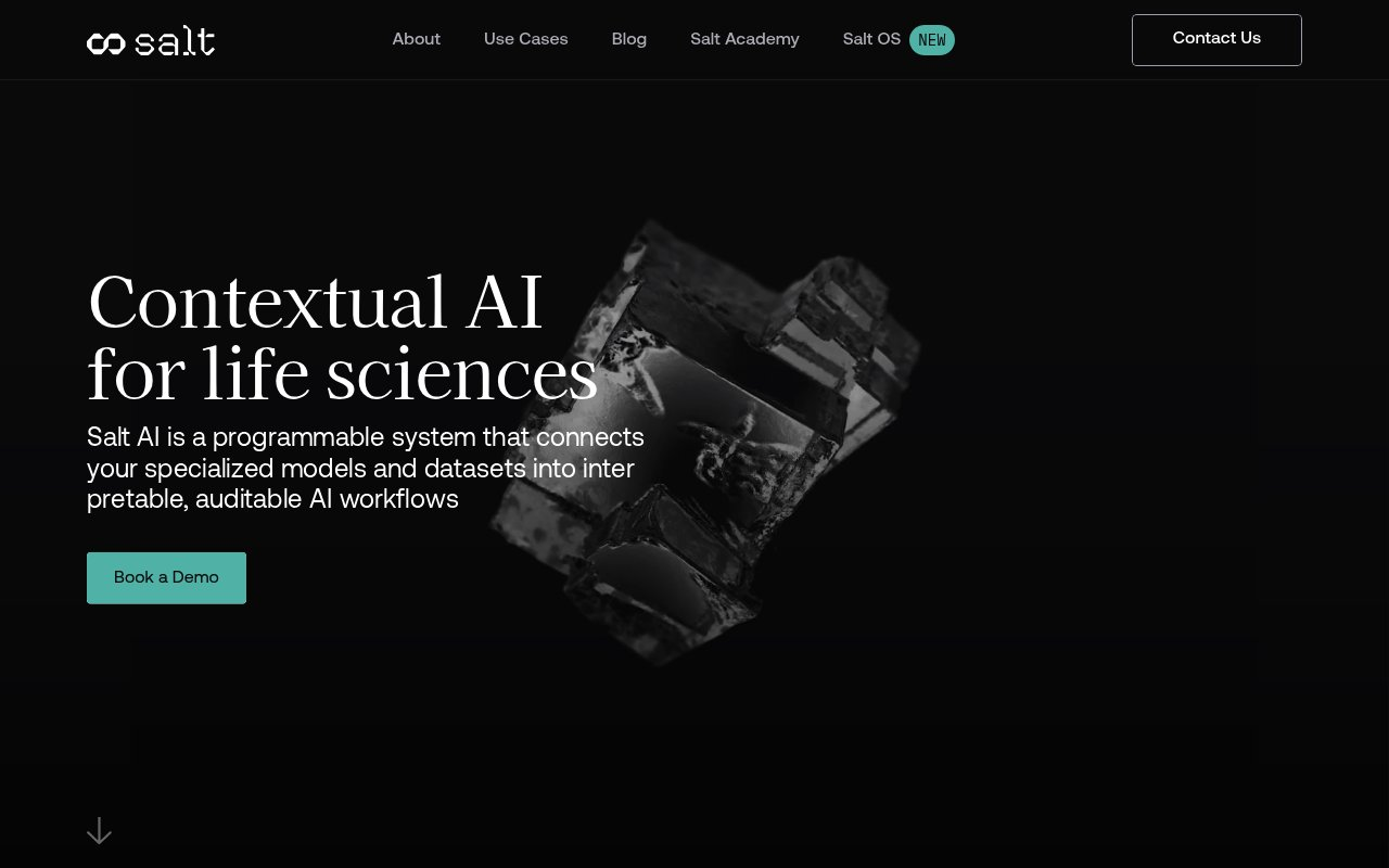 Salt AI website preview