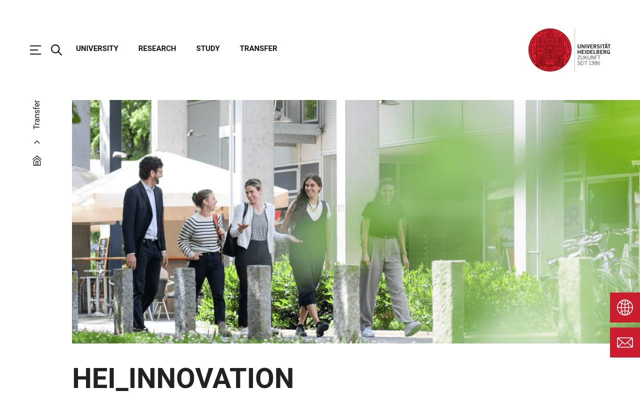 hei_INNOVATION (Heidelberg University Startup Hub) website preview